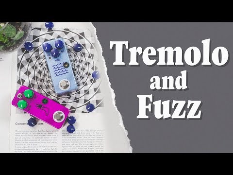 Mini Foot and Tidewater | Fuzz and Tremolo