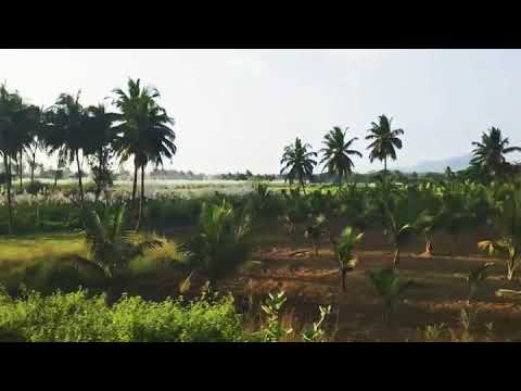 A beautiful scenery through a Train journey from Mysore to Bangalore