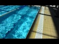 DSC 4206
