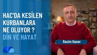 Hacda Kesilen Kurbanlar Nelerdir? Hedy, Dem ve Ceza Kurbanı | Din ve H