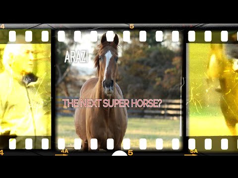Arazi | The Next Super Horse? America Press Go to France to Visit the Kentucky Derby Favorite (1992)