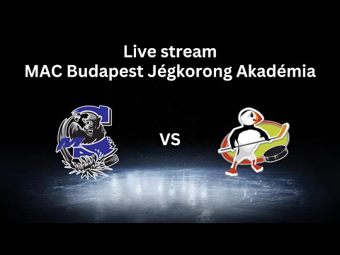 U14 | MAC Budapest B - Szombathelyi Pingvinek | 2024.02.24.