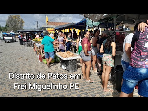 Feira livre dos Patos em Frei Miguelinho Pernambuco 06/11/2025 