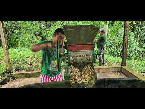 Video Oficial himno de Urumita Guajira @urumita___real 😍🙏