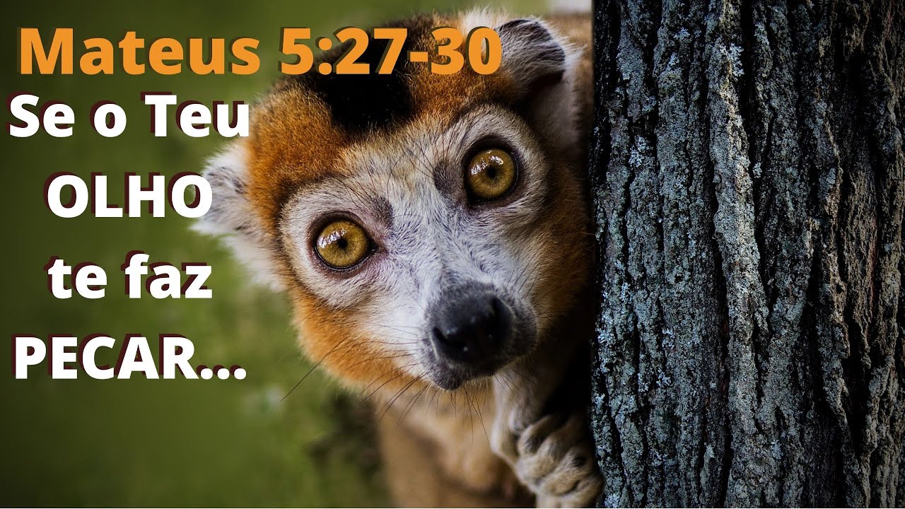Se o teu olho e a tua mão te faz pecar - Mateus 5:29,30