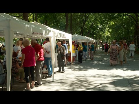 Info - Litija i vašar u Niškoj Banji - (TV KCN 02.08.2024)