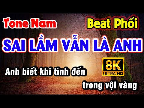 Karaoke SAI LẦM VẪN LÀ ANH | Tone Nam Beat Phối Nhạc Hoa Lời Việt, Johnny Dũng - Lý Hải