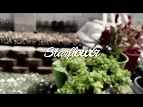 starflower - raveena | cover by flowrence