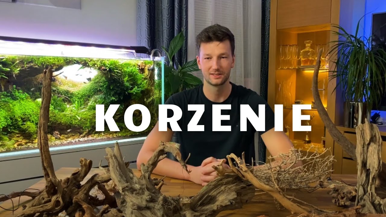 KAMIENIE, KORZENIE, DETALE- Cz. 2/3 - czyli PRZEWODNIK po materiałach do aranżacji akwarium.