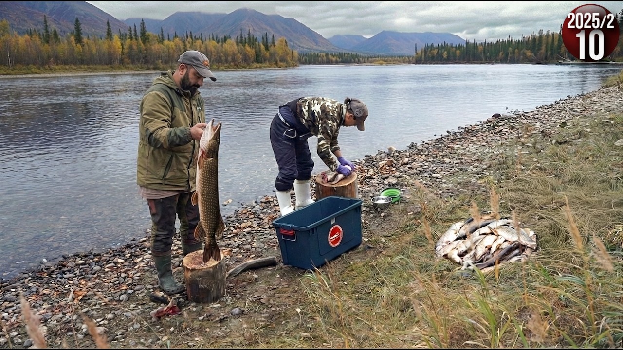 Изба на берегу горной реки . Щука на каждый заброс. Как живут люди в тайге. Обы