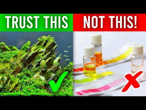 Is Your Fish Tank Really Cycled?