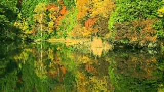 Meditation  Music.10 min.quiet lake~your mind healed