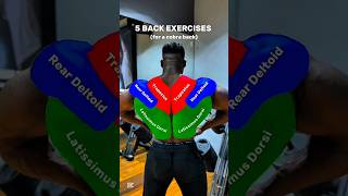 Download lagu 5 best back exercises gym mp3