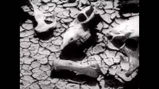 Hank Williams III - Stoned And Alone