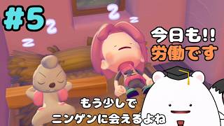 【ぽこ あ ポケモン】空に浮かぶ島を開拓する！？今日もポケモンは帰ってくるトレーナーのために労働する #5