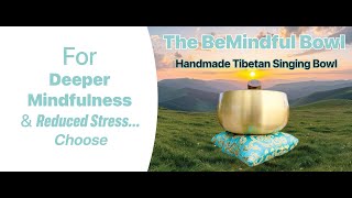 Video 1 trigger image