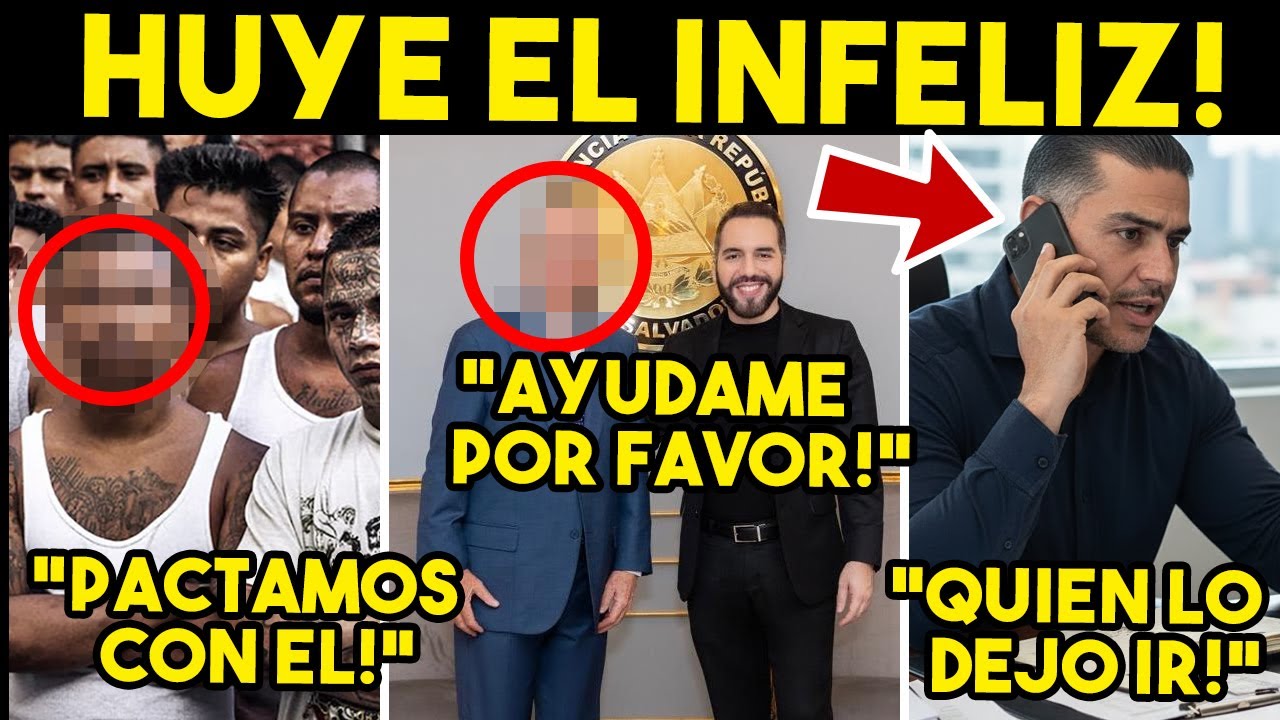 NO AGUANTO MAS! 1NFELIZ HUYE DE MEXICO, LE LLORA A BUKELE. C4RT3L REVELA PACTO, ES SU FIN