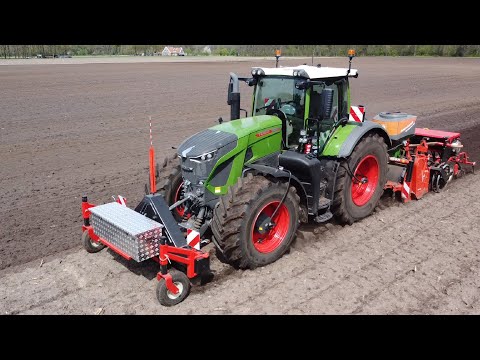 Spaten und Mais säen