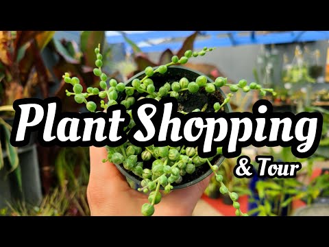PLANT SHOPPING & TOUR || Whispering Pine Garden Center