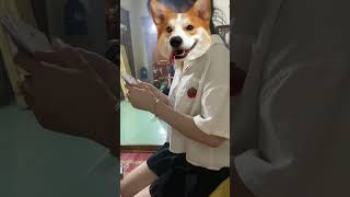 Ngày thứ 2 ở nhà ông định bà trang