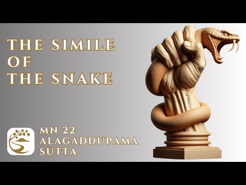 MN 22: Alagaddūpama Sutta - The Raft, The Snake, & Right Grasp of the Teaching | 10-Minute Majjhima