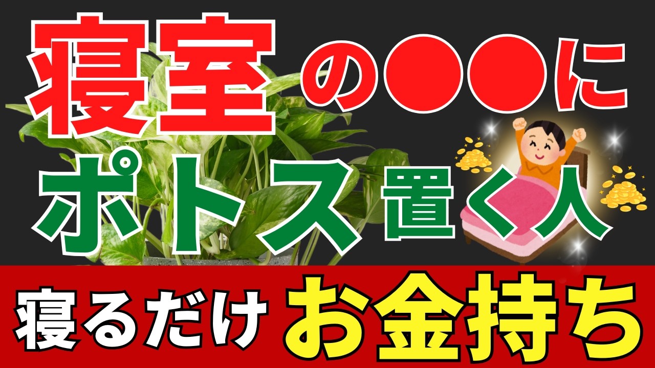 【寝るだけ開運】寝室の方角別最強の観葉植物を風水アドバイザーが解説