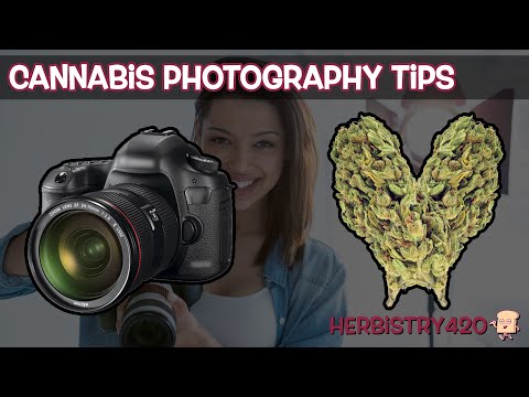 Cannabis Macro Photography Tips: 5-Step Focus Stacking Guide