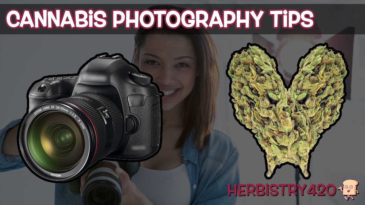 Cannabis Macro Photography Tips: 5-Step Focus Stacking Guide