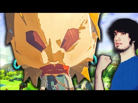 Zelda Breath of the Wild HACKING! - PBG