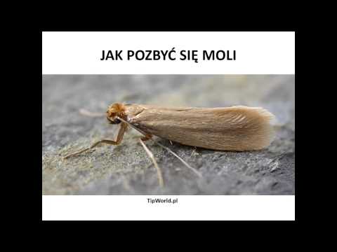 Młoda dziewczyna włosy wypadają, co robić Olej użyć do włosów, maski