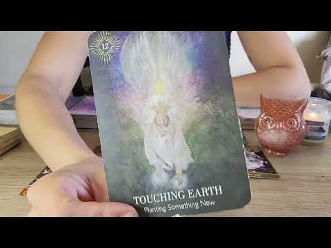 ECLIPSE 🌚 6 MONTH READING: THESE CONNECTIONS WERE MEANT TO CLOSE/ A PATHWAY IS BEING MADE 🌞
