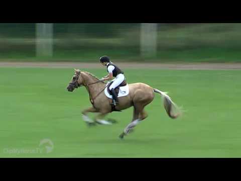 PrH Quasi Gold MD Bundeschampionat, großes Finale 7.9.2014