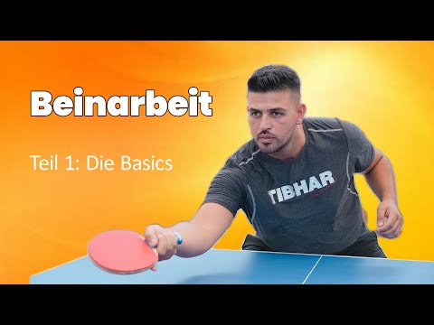 Beinarbeit - Vom Anfänger zum Profi