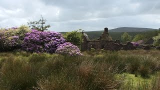 The Vee, Co. Tipperary, Ireland.