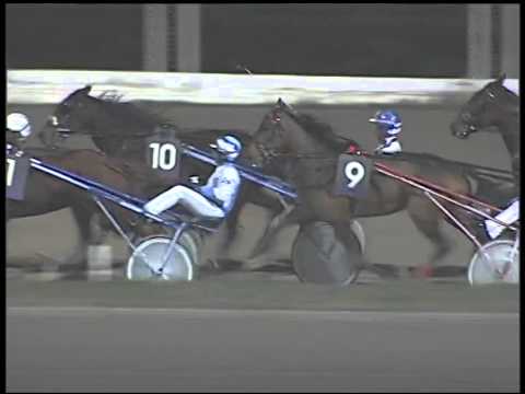 Trotto 16/11/2014 - 9° corsa