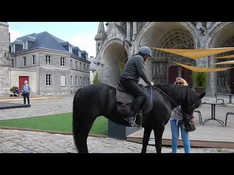 Le Sage Hibou - Giro Europa # 08