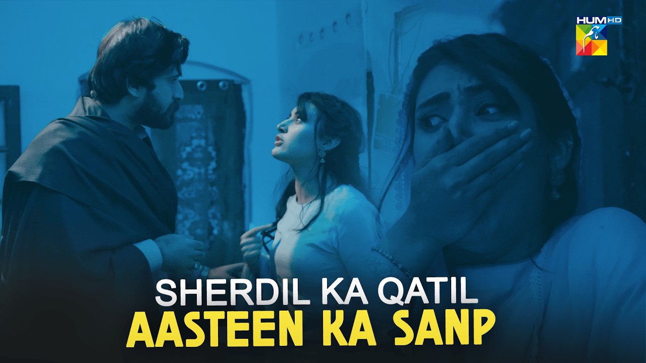 Zanjeerain New Episode | Most Intense Scene - ft. Sajal Ali & Danyal Zafar | HUM TV