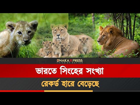 সিংহ নিয়ে বিপাকে ভারত