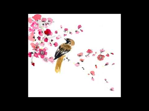 Takashi Yoshimatsu - Cyberbird Concerto