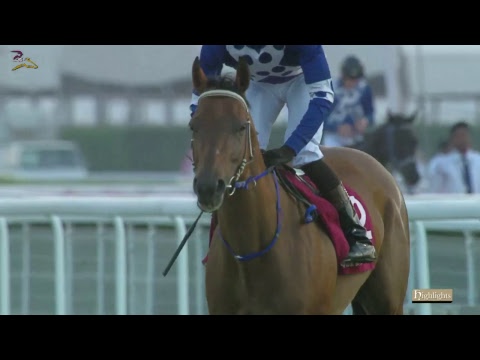 17th Race Meeting of Season 2017 / 2018