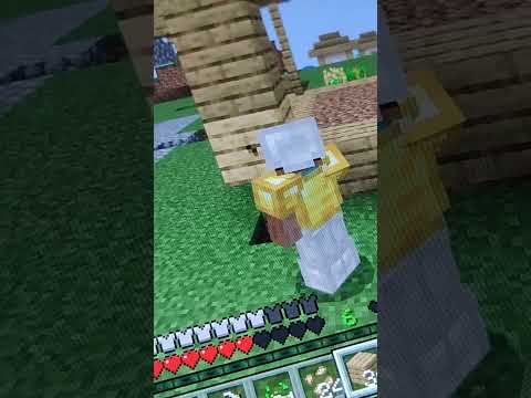 LA MIA NUOVA COLTIVAZIONE- VITTOCRAFT