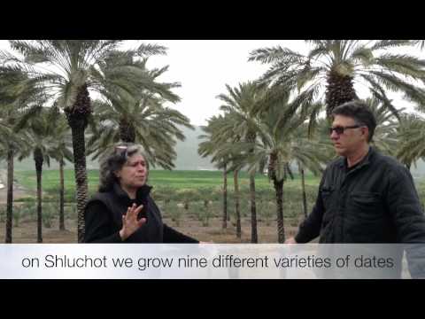 Kayitz BaKibbutz TuBshvat 2015