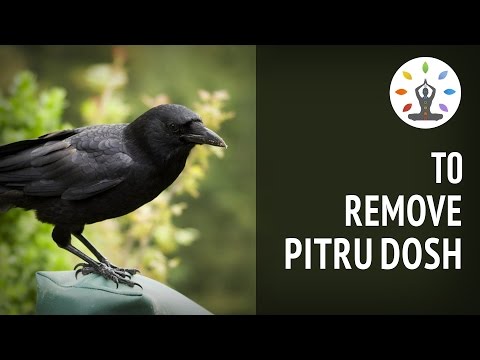 Powerful Meditation Mantra To Remove Pitru Dosh | Sri Garuda Gayatri