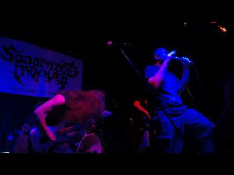 Sodomized Cadaver - Live @ The Unicorn 31/08/2017 (4 of 6)