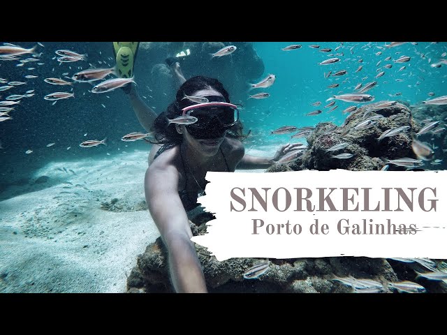 Vlog Snorkeling Porto de Galinhas - Mergulho