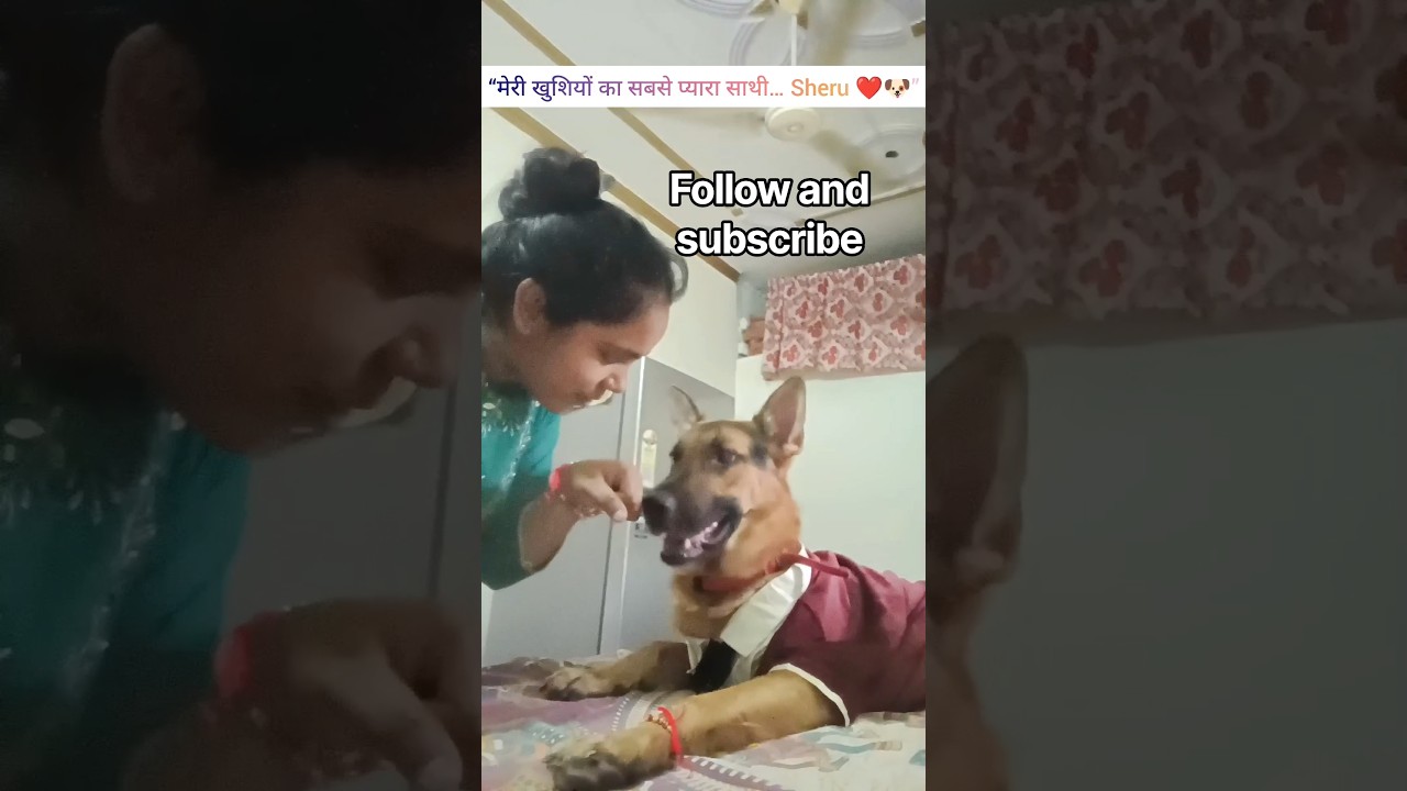 Sheru ke liye 1 subscribe jarur kare #song #shorts #video #trending #vrails