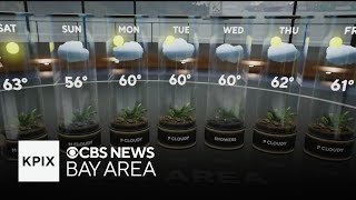 First Alert Friday evening weather forecast - Jan. 23, 2026