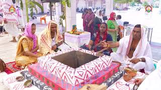 Celebration of Phuldol, Vaidik Yagna & Special visit to Gau Darshan with Acharya Maharaj