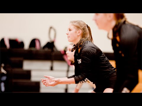 Sealy Volleyball vs. Sweeny
