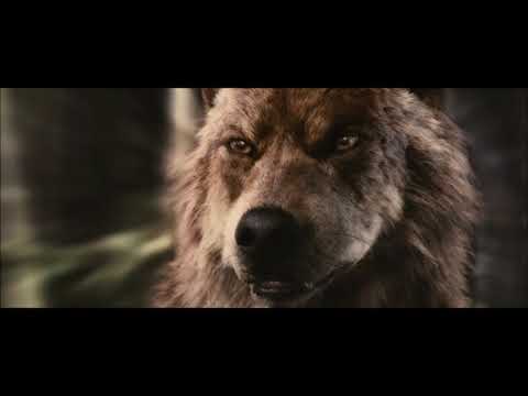 Wolves - A One Direction Music Video